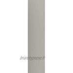 Alunovo Goulotte de câble plate en acier inoxydable brossé en aluminium autocollant 50 mm x 15 mm Longueur 80 cm