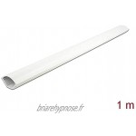 Delock Goulotte d'angle autocollante 43 x 23 mm – Longueur 1 m – Blanc