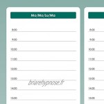 SIGEL HO500 Sous-main bloc papier design planning semainier avec grille horaire et calendriers sur 3 ans A2 59,5 x 41 cm vert et blanc 52 feuilles