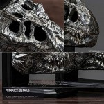 Presse-livres Bookends Serre-livres décoratif crâne de dinosaure rétro gros lourd 6 pouces Serre-livres