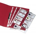 Elba Sachet de 10 Pochettes perforées A4 pour Carte de visite en PVC Transparent