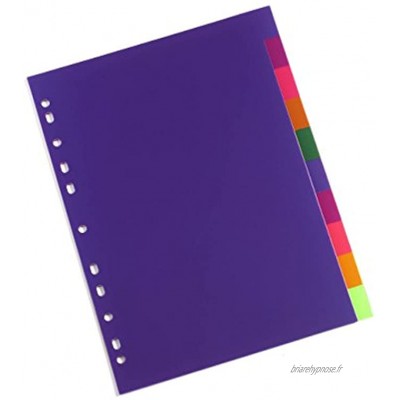Rexel Jeu de 10 Intercalaires Multicolores Perforés format A4