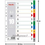 DULALA Intercalaires d'indexation 20 Pages A4 Color-ful Index