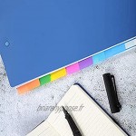LuLyLu 400 5.1cm Adhesive Tabs Recordable and Repositionable File Tabs for Book Pages Or Markers 20 Sets of 10 Colors