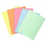 Exacompta 83000E Paquet de 250 Sous-Chemises SUPER 80 22 cm x 31 cm pour classement de documents format A4 épaisseur 80 g m² coloris assortis bleu clair bulle ivoire jaune rose vert clair