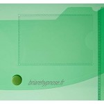 Rapesco 0700 Pochette Porte-Document ID A4+ Couleurs Vives Transparentes Lot de 5