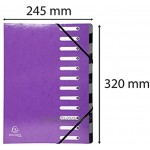Exacompta 53926E Trieur dos extensible couverture rigide 12 compartiments 24,5 x 32 Violet