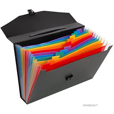 Viquel Rainbow Class Valisette de rangement pour document A4 Trieur accordéon 12 compartiments pour transporter ses papiers Dos de 6cm Fermeture avec tuck noir