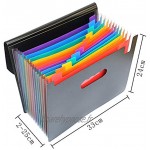 Yebmoo Porte-document à soufflet avec 13 intercalaires Multicolore Format A4 1 x Folder