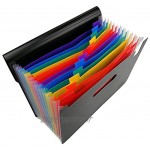 Yebmoo Porte-document à soufflet avec 13 intercalaires Multicolore Format A4 1 x Folder