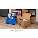 DONAU 7662301FSC-10 Lot de 20 boîtes archives solides en carton recyclé Largeur du dos A4 120 mm Bleu