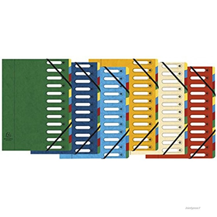 Exacompta 5312E Trieur Harmonika avec dos extensible couverture avec fenêtres découpées 12 Compartiments 24,5x32 cm pour format A4 fermeture à élastique couverture en carte lustrée coloris aléatoire.