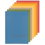 Falken 80001282002F Paquet de 100 chemises en carte recyclée A4 250g m² coloris Orange
