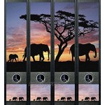AJ 425 459 473 Lot de 12 étiquettes autocollantes pour classeur à dossier large Motif éléphant africain