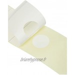 Leitz Étiquettes Self Adhesive pour Classeurs à Levier Couverture Papier et Dos 80 mm Large Long 61,5 x 285 mm Papier 16401001 Blanc Lot de 10 Étiquettes
