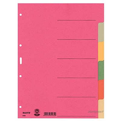 Esselte Leitz Carton Intercalaires A4 carton 6 feuilles de couleur