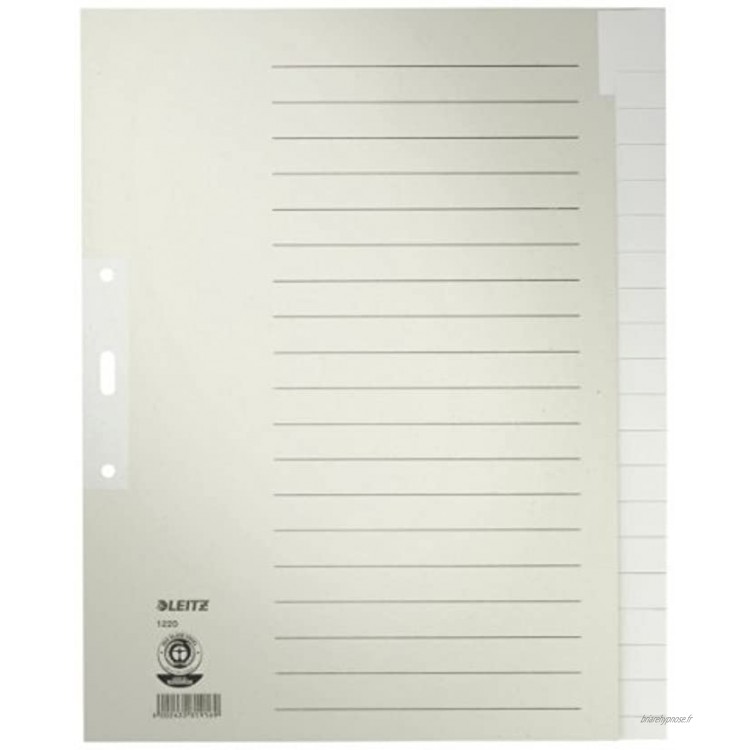 LEITZ 12200085 Blank Tab Index papier gris – Intercalaire Blank Tab Index papier gris 100 g m² 240 mm 30 cm