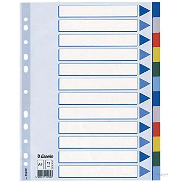 Leitz plastikregister blanko a4 12 onglets en couleur 12 Blatt