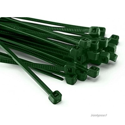 Angren Lot de 100 serre-câbles pour filet d'ombrage pare-vue et clôture 300 mm x 4,8 mm vert